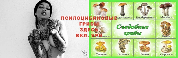 каннабис Богданович