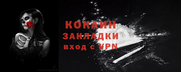 дмт Богородицк