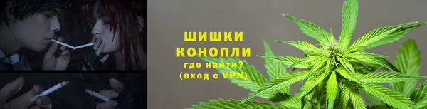 спиды Белокуриха