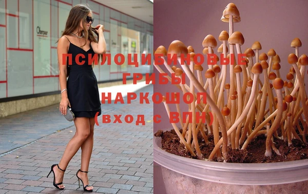 дмт Богородицк